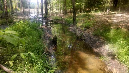 Farm Property in Fluvanna County, Virginia