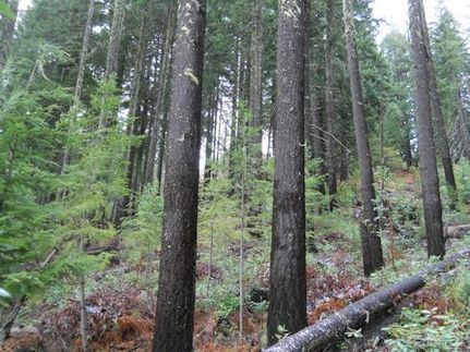 Ranch Property in Jackson County, Oregon