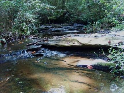 Ranch Property in Randolph County, Alabama
