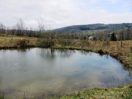 Ranch Property in Delaware County, New York