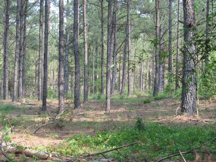 Ranch Property in McCormick County, South Carolina