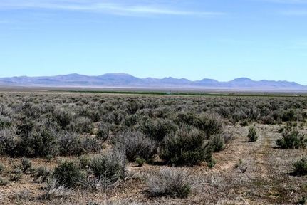 Farm Property in Humboldt County, Nevada