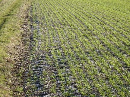 Ranch Property in Grant County, Kansas