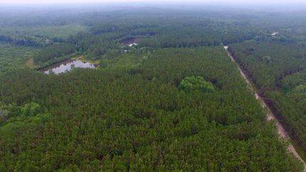 Farm Property in Clinch County, Georgia