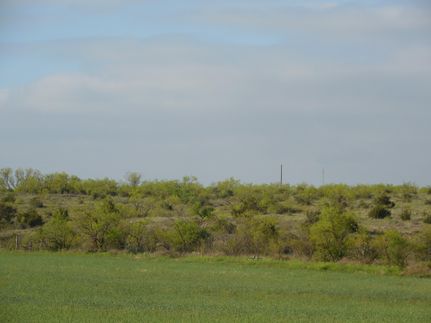 Farm Property in Mitchell County, Texas