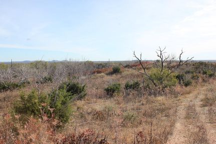 Farm Property in Coke County, Texas