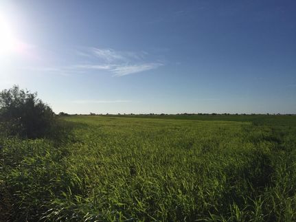 Farm Property in Coleman County, Texas