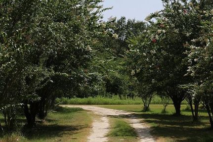 Residential Property in Madison County, Texas