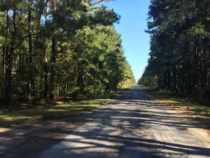 Ranch Property in Georgetown County, South Carolina