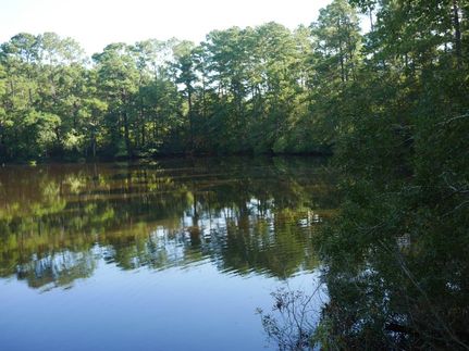 Hunting Land in Candler County, Georgia