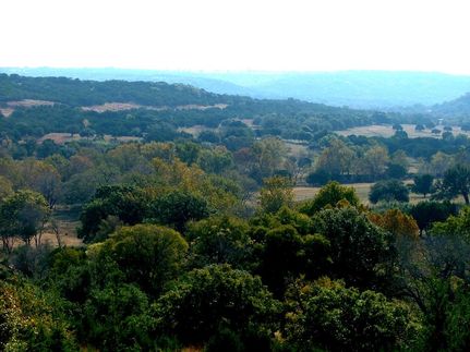 Farm Property in Burnet County, Texas