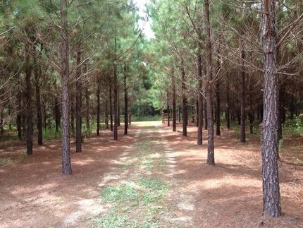 Farm Property in Bulloch County, Georgia
