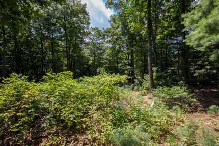 Ranch Property in Carroll County, Virginia