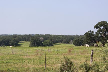 Farm Property in Milam County, Texas
