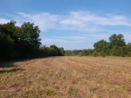 Farm Property in Lamar County, Texas