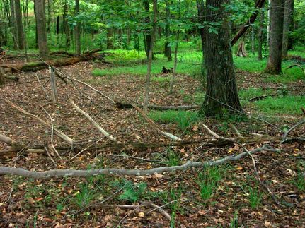 Residential Property in Lynchburg City County, Virginia