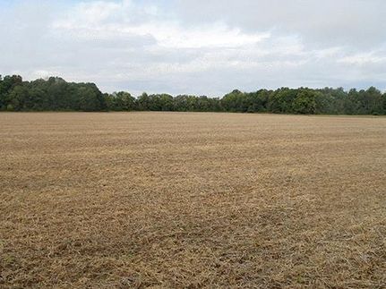 Ranch Property in Henry County, Indiana