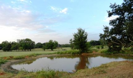 Property in Freestone County, Texas