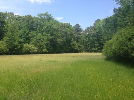Ranch Property in Calhoun County, Arkansas