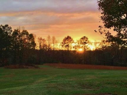 Farm Property in Cullman County, Alabama