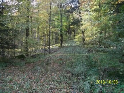 Farm Property in Langlade County, Wisconsin