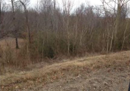 Farm Property in Macon County, Tennessee