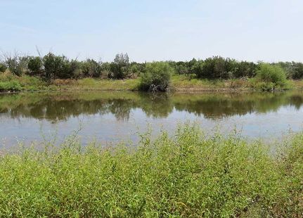 Farm Property in Stonewall County, Texas