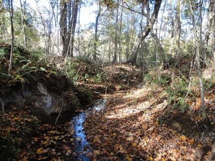 Ranch Property in Hancock County, Georgia
