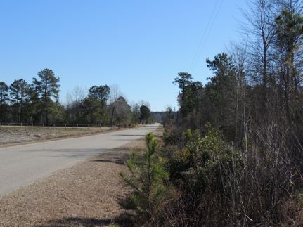 Ranch Property in Florence County, South Carolina