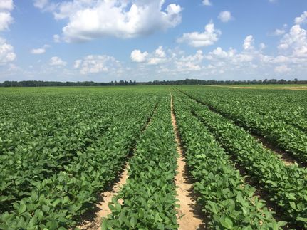 Farm Property in Drew County, Arkansas