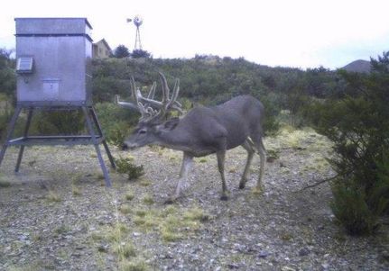 Property in Terrell County, Texas