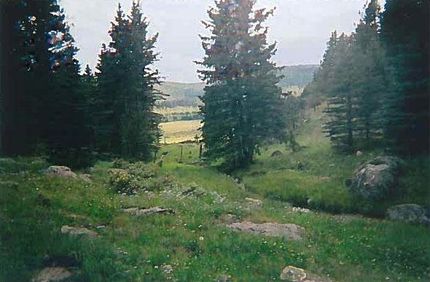 Property in Colfax County, New Mexico