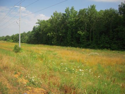 Timberland Property in DeSoto County, Mississippi