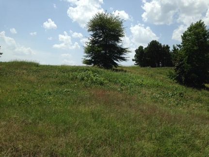 Ranch Property in Edgefield County, South Carolina