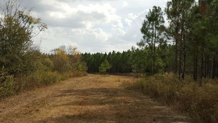 Farm Property in Sumter County, Georgia