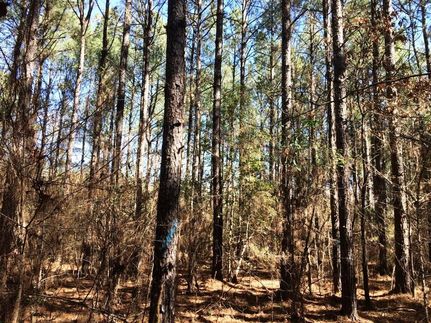 Ranch Property in Clark County, Arkansas