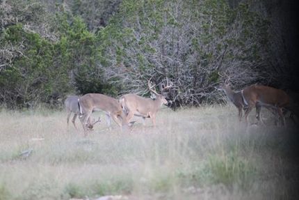 Farm Property in Edwards County, Texas