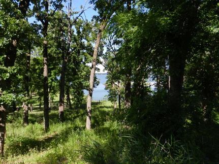 Farm Property in Smith County, Texas