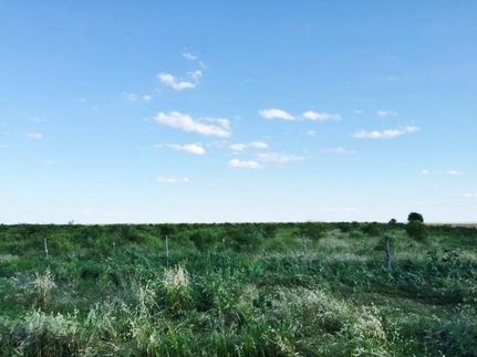 Ranch Property in Haskell County, Texas
