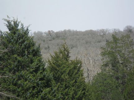 Farm Property in Milam County, Texas