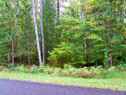 Residential Property in Roscommon County, Michigan