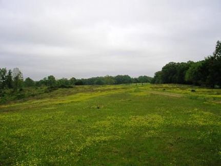 Property in Fayette County, Tennessee