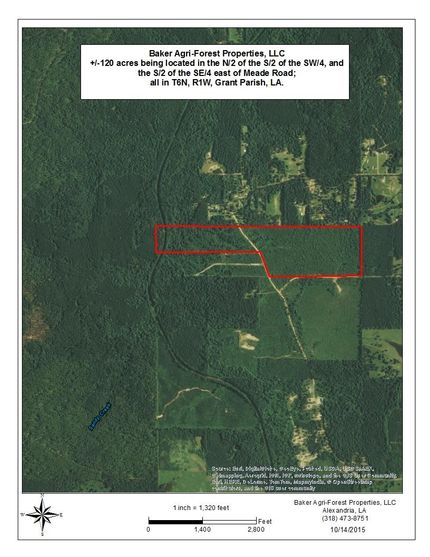 Farm Property in Grant Parish, Louisiana