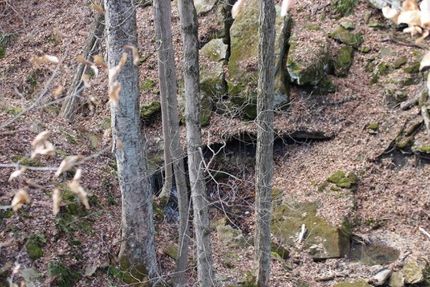 Farm Property in Muskingum County, Ohio