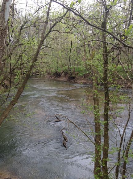 Riverfront Property in White County, Tennessee