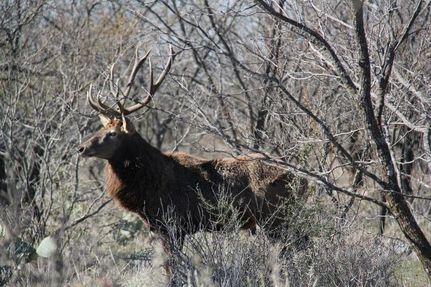 Farm Property in San Saba County, Texas