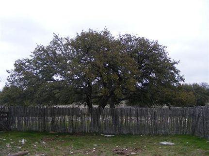 Farm Property in Sutton County, Texas