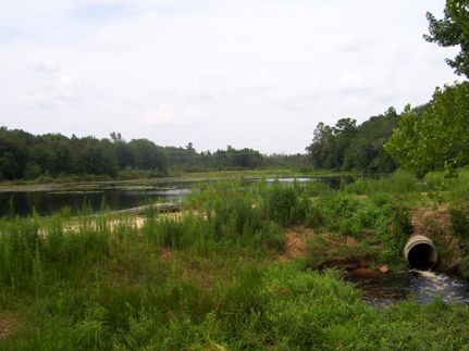 Ranch Property in Orangeburg County, South Carolina