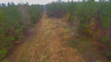 Ranch Property in Barnwell County, South Carolina