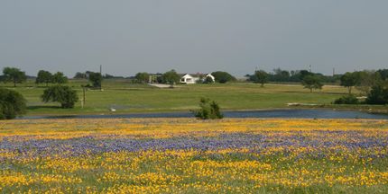 Ranch Property in Ellis County, Texas